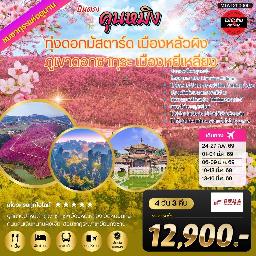 ทัวร์จีน คุนหมิง ชมทุ่งดอกมัสตาร์ด เมืองหลัวผิง ชมภูเขาดอกซากุระ เมืองหยีเหลียง *ไม่เข้าร้าน * 4วัน 3คืน (KY)