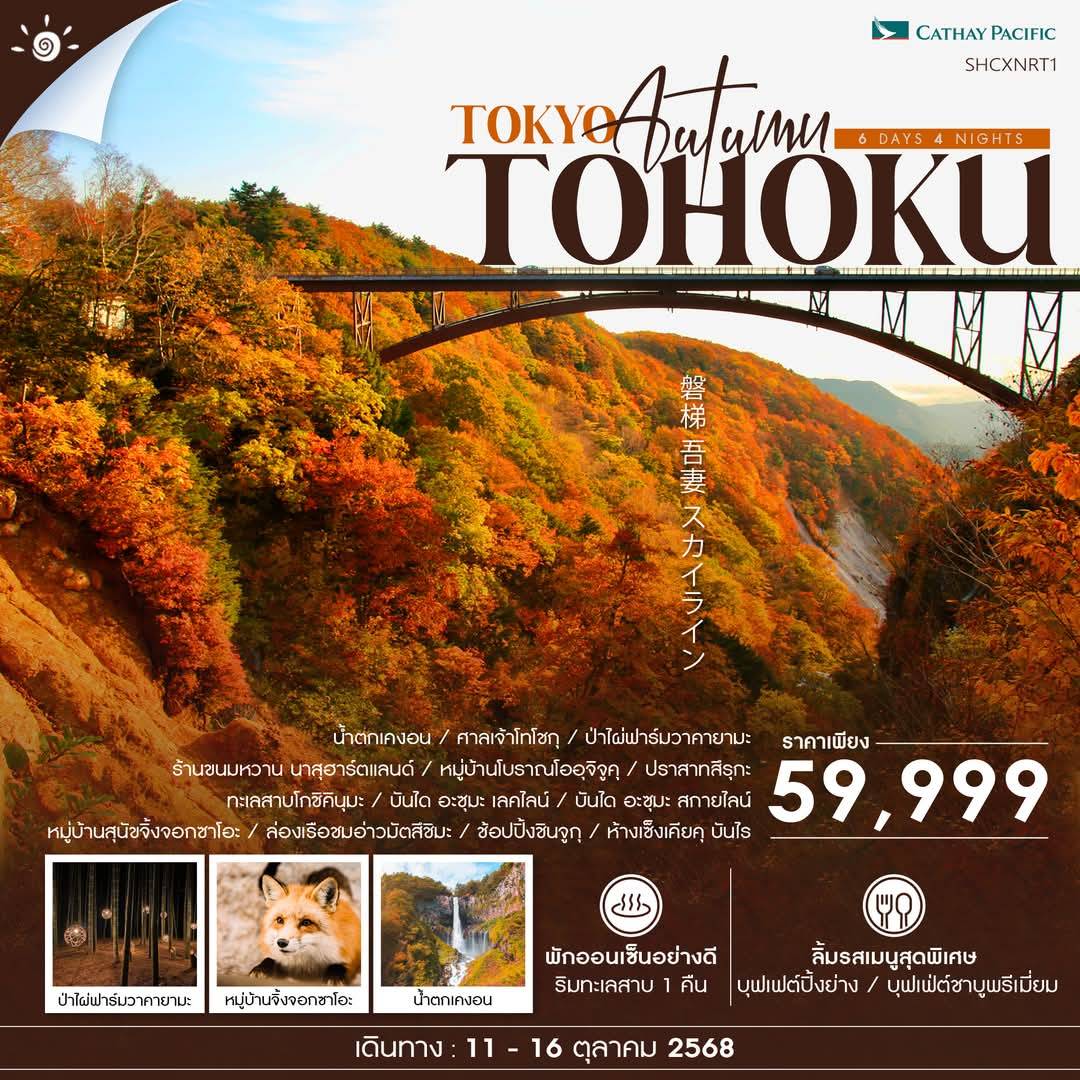 ทัวร์ญี่ปุ่น Tokyo Fuji Classic 5วัน 3คืน