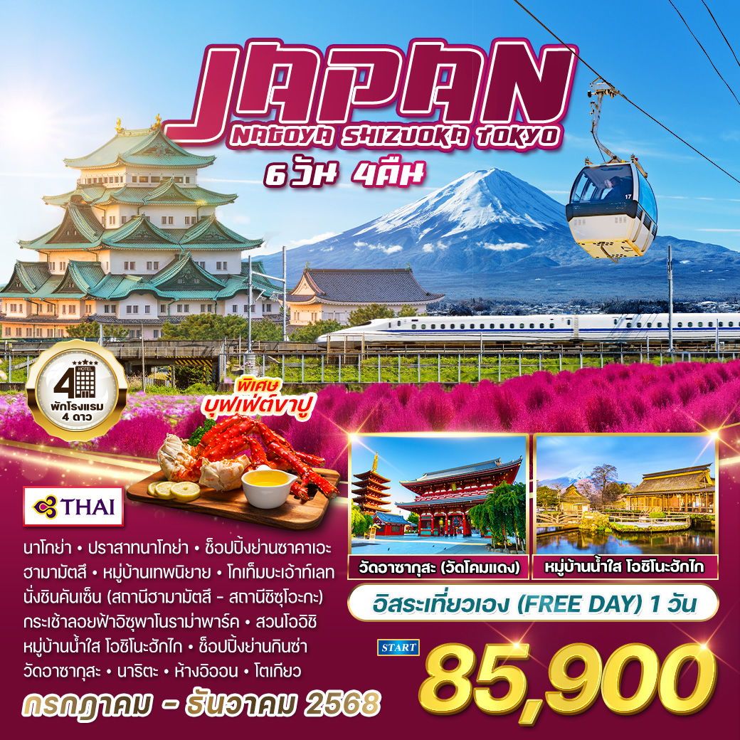 ทัวร์ญี่ปุ่น นาโกย่า - ชิซูโอกะ - โตเกียว 6วัน 4คืน (TG)